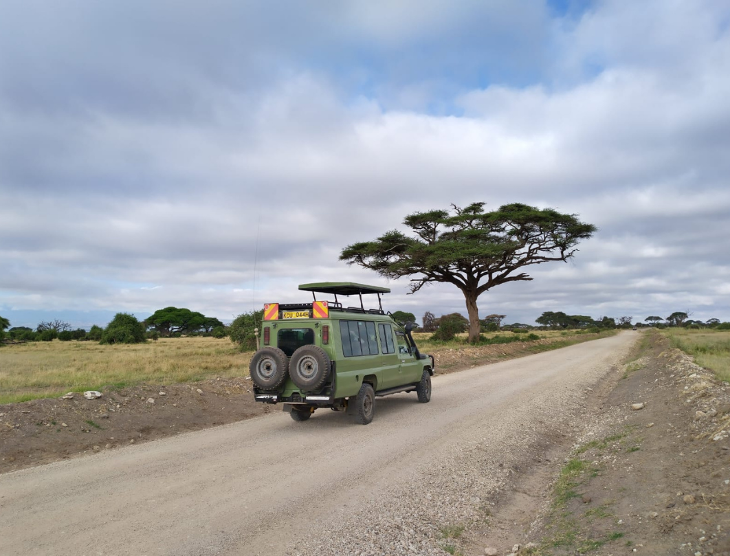 3 Days Amboseli Flying Safari