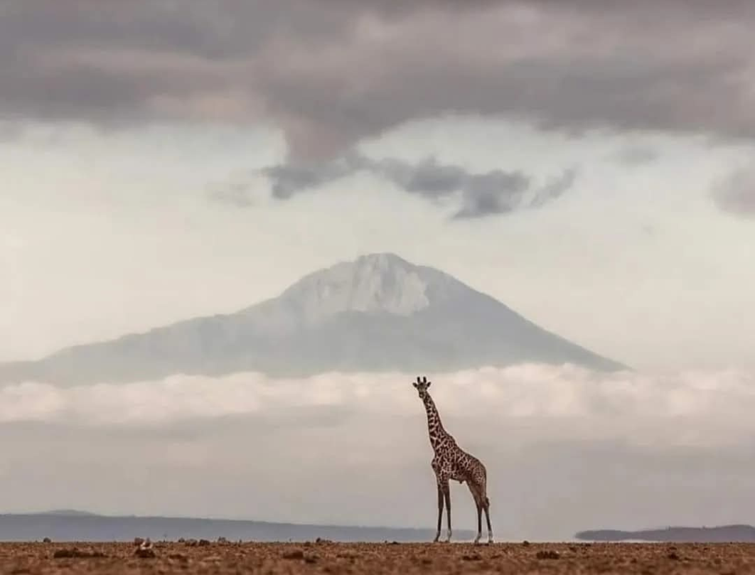5 Days Private Safari Amboseli & Tsavo West 