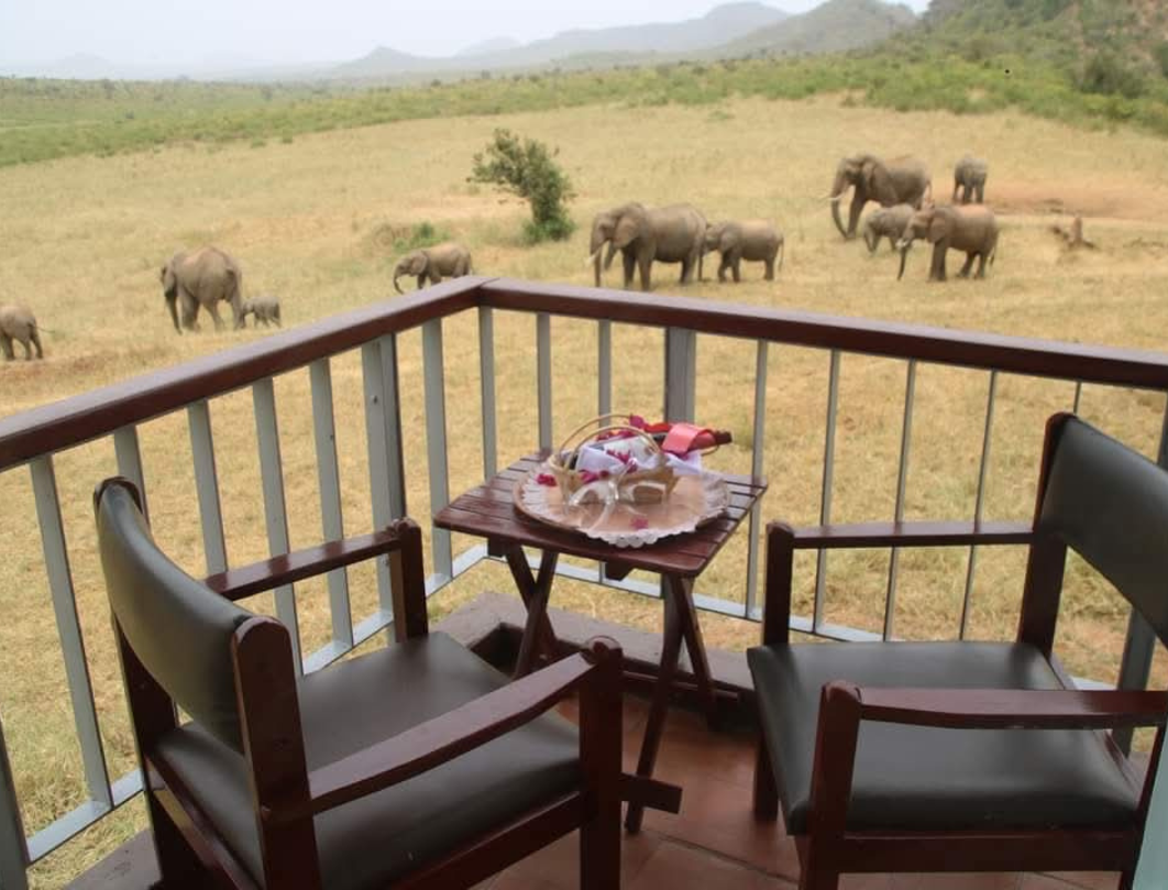 5 Days Private Safari Amboseli & Tsavo West 