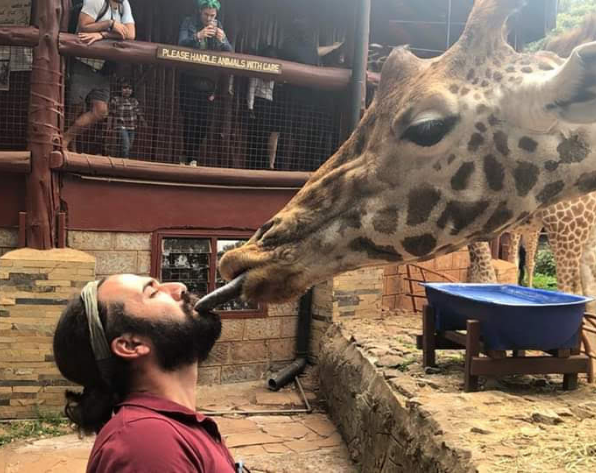 Giraffe Centre & David Sheldrick Day Tour