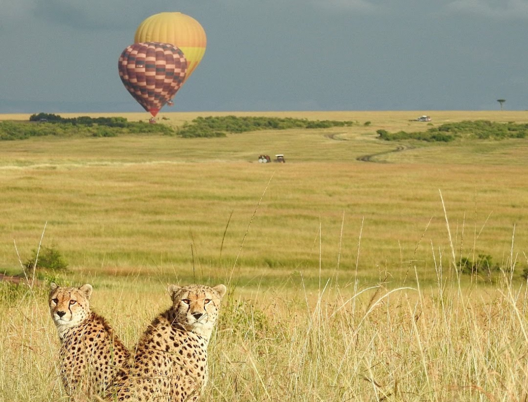 Hot Air Balloon Safari In Kenya & Tanzania 