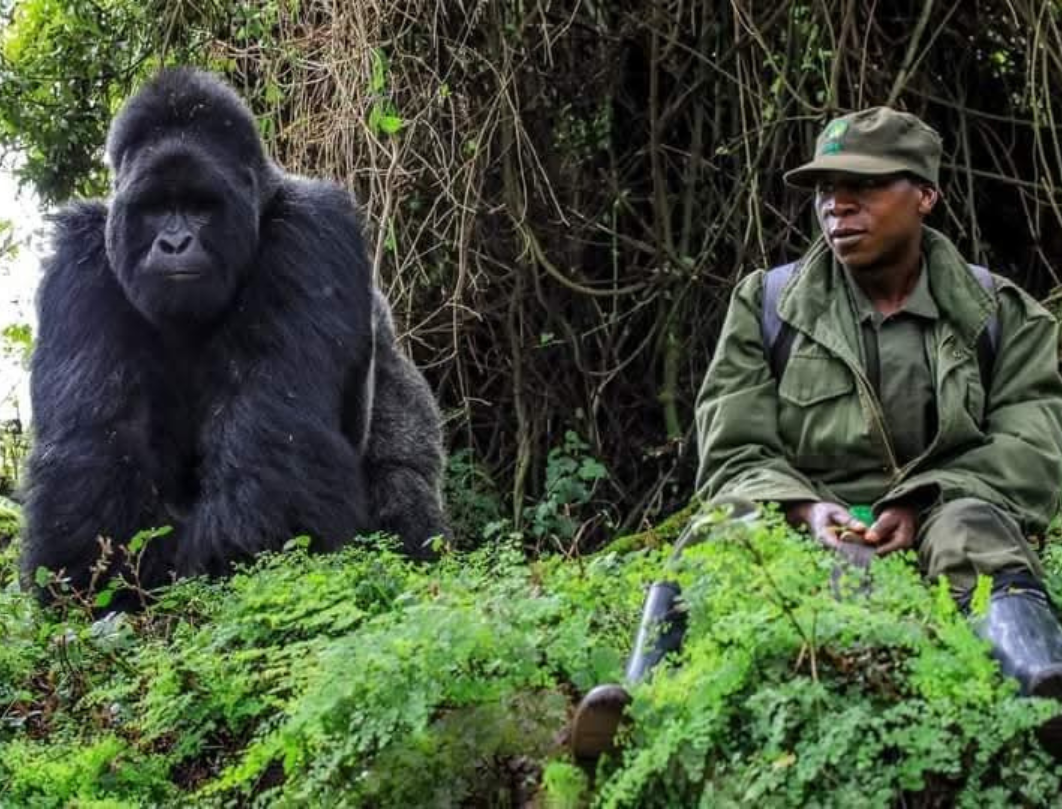 Kenya And Uganda Combined Safari