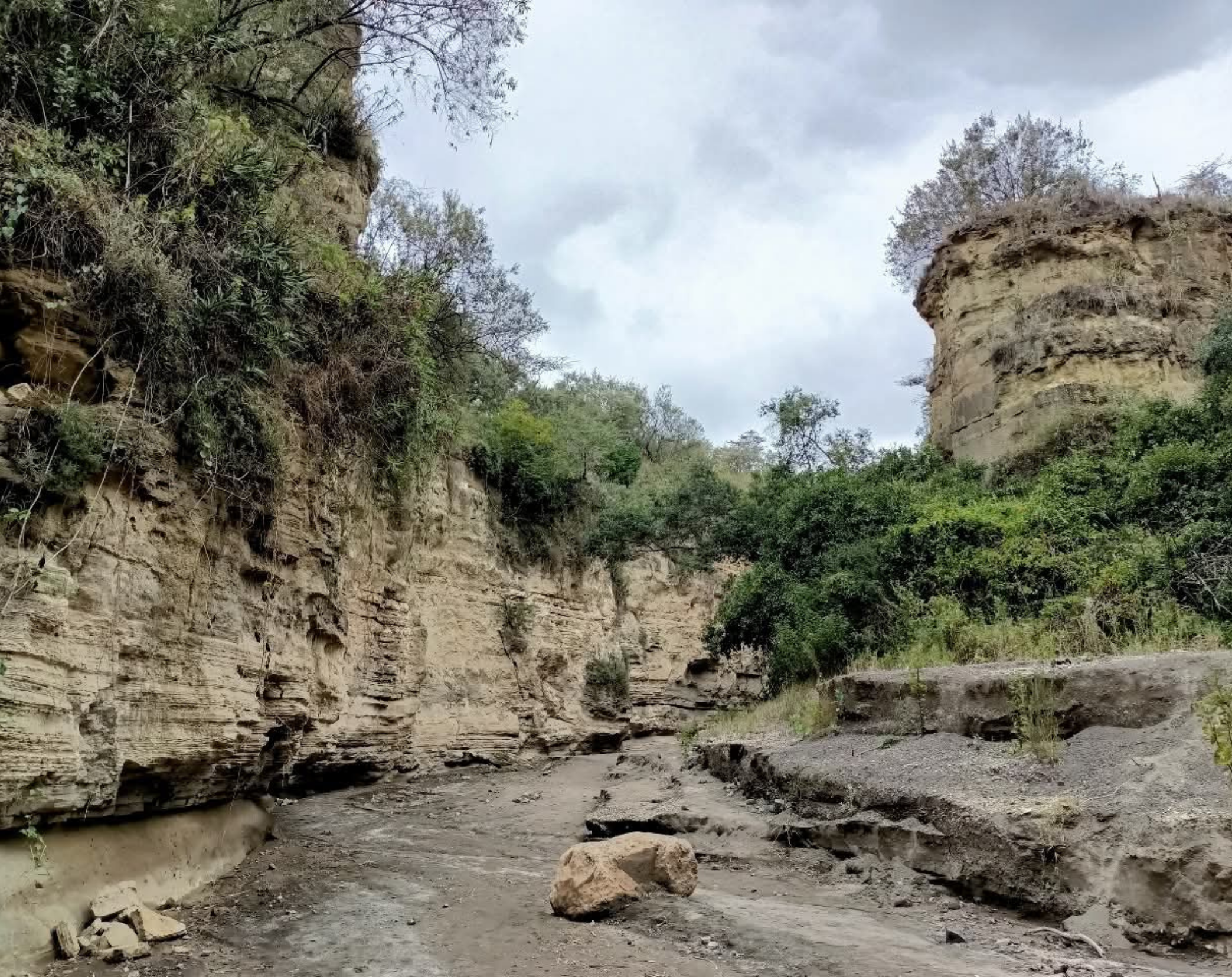 Maasai Mara & Naivasha Private Safari 