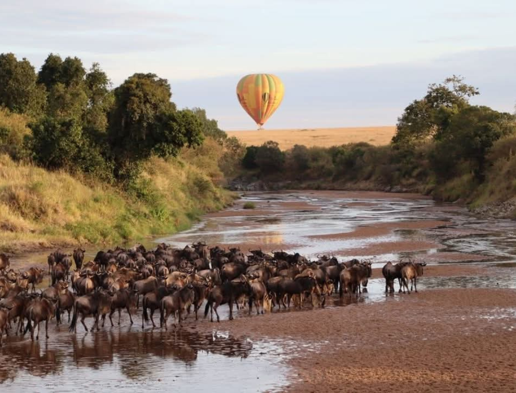 Maasai Mara & Naivasha Private Safari 