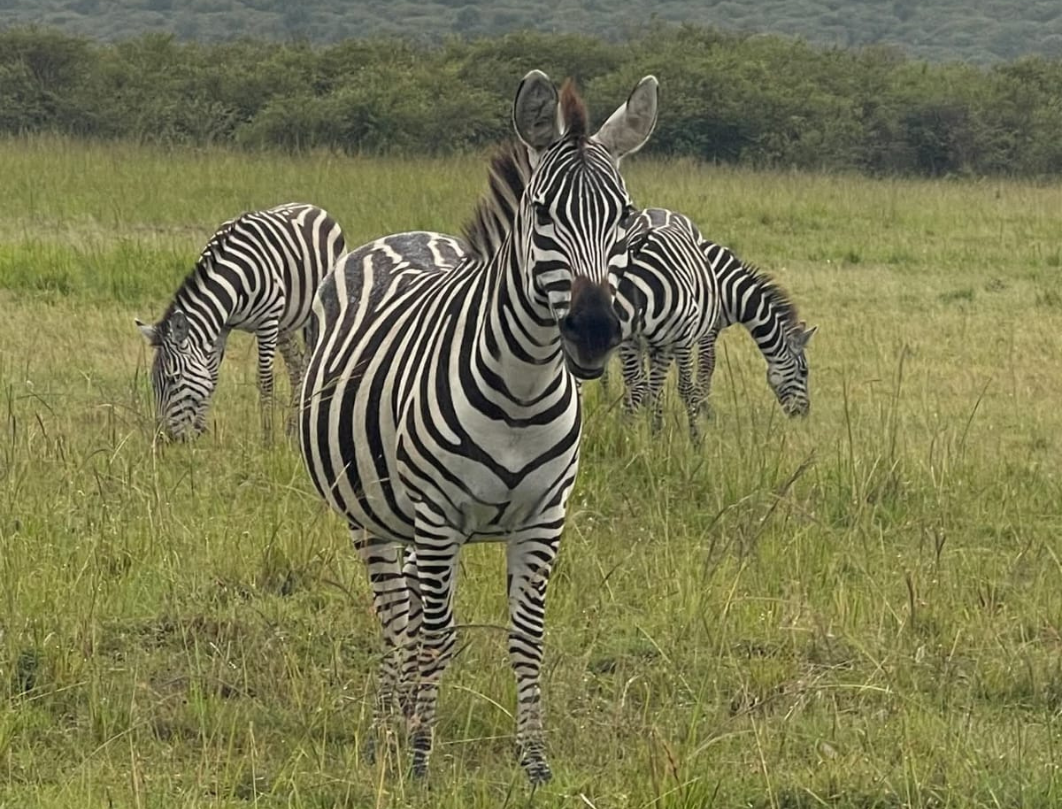 3 Days Maasai Mara Private Safari