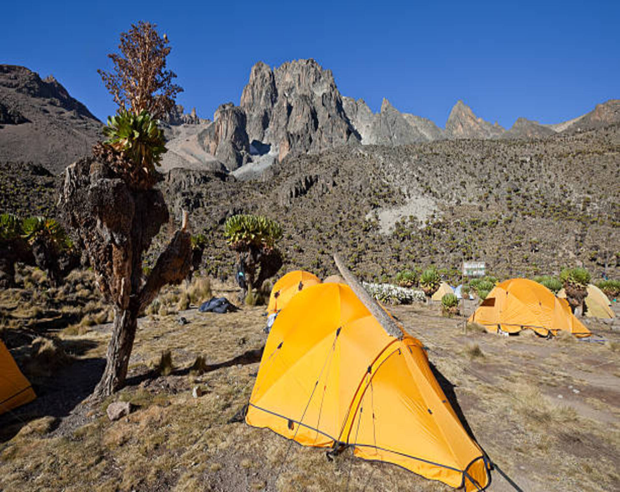 Mount Kenya Naromoru Route