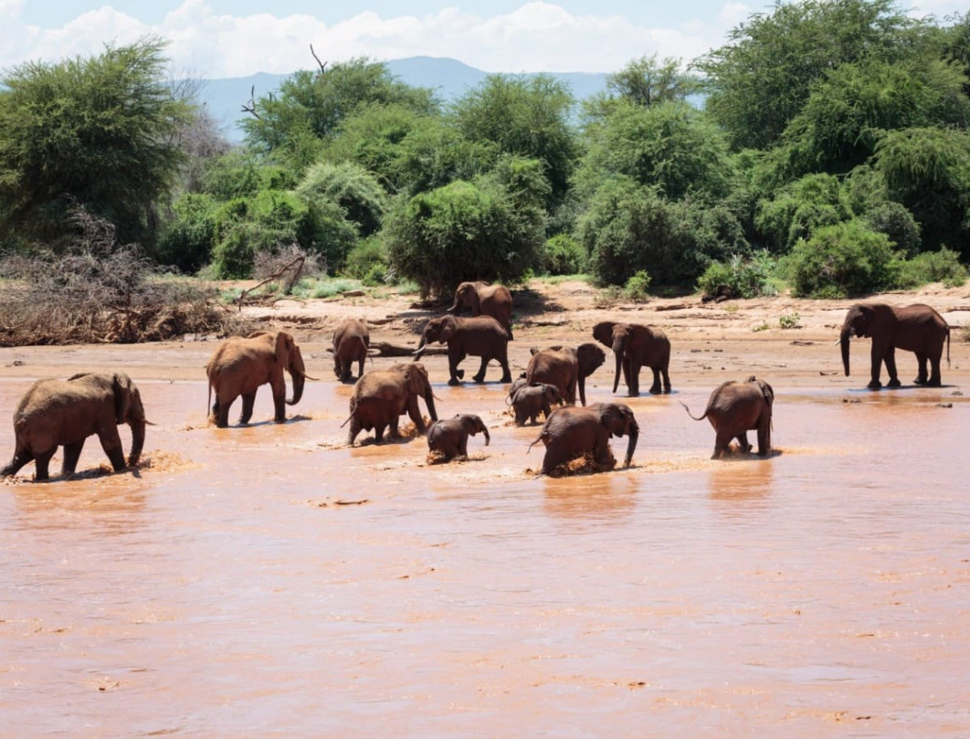 3 Days Romantic Samburu Honeymoon Safari