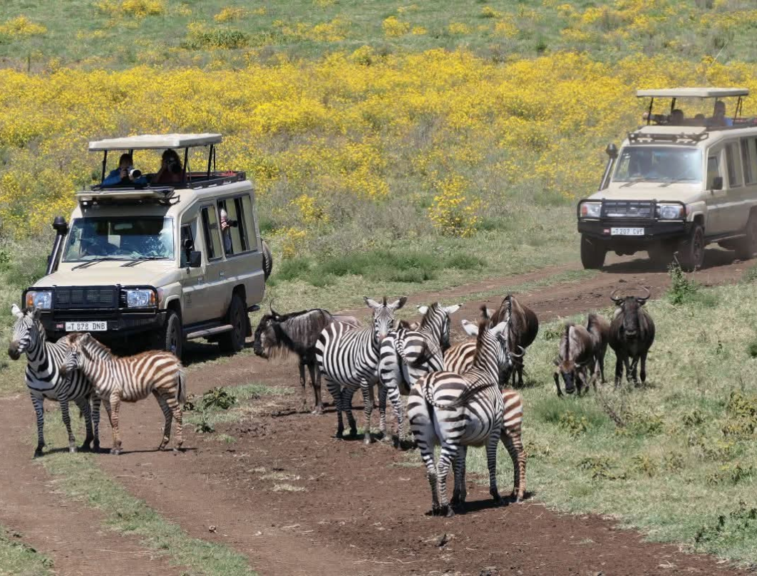 Destination Tanzania