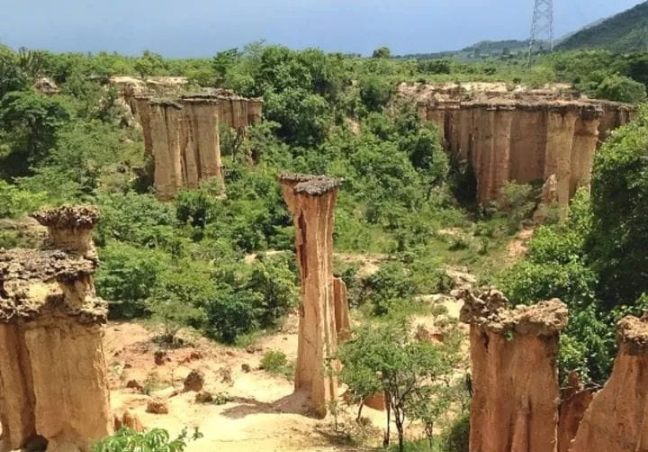 Murchison Falls Safari