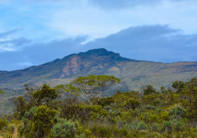 Mount Elgon Trekking