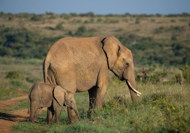 11 Days Kenya Photography Safari