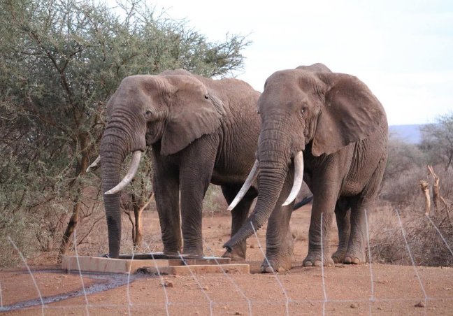 7 Days Kenya Photography Safari