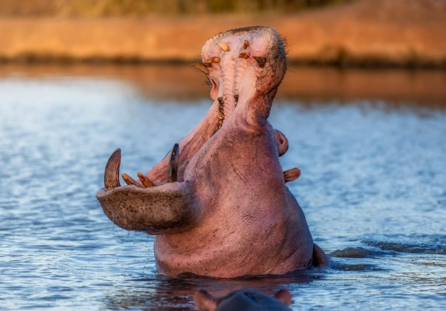 7 Days In Kenya Photography Safari