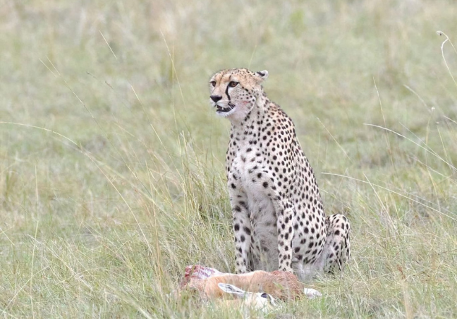 10 Days Through The Lens Of Kenya Photography