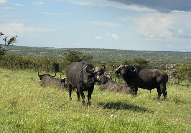 10 Days Explore Kenya Private Classic Safari