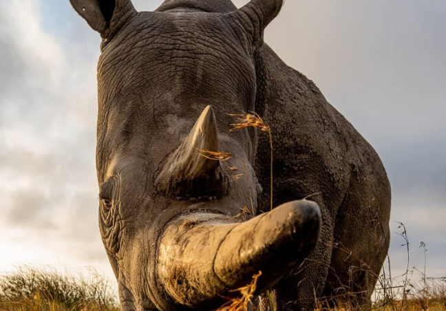 12 Days Explore Kenya Private Classic Safari