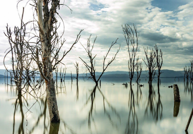 7 Days Amboseli, Lake Naivasha & Maasai Mara Private Safari