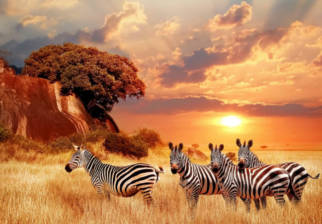 4 Days Tanzania Luxury Safari