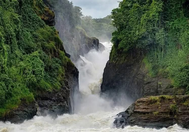 Murchison Falls Safari