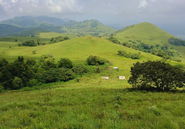 Chyulu Hills Walking Safari