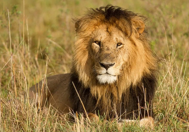 6 Days Kenya Walking Safari