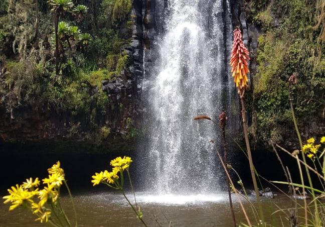 7 Days Kenya Walking Safari